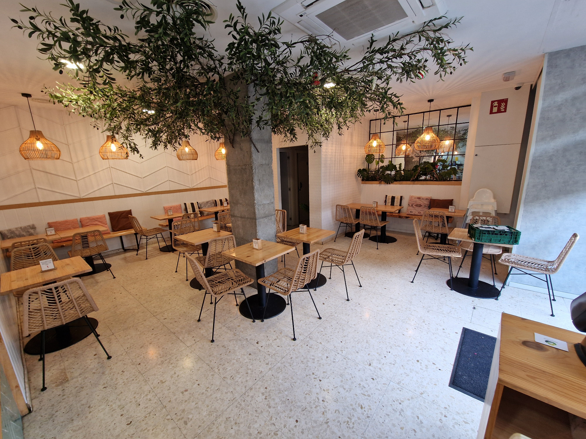 Interior acogedor con olivo